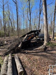 Dump trailer actively dumping logs in the woods